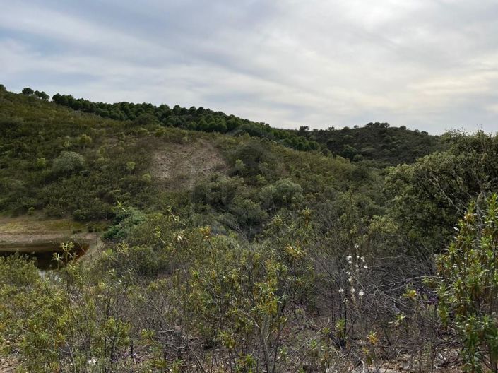 Image No.14-House for sale