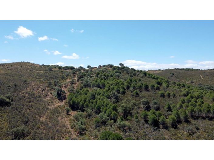 Image No.18-House for sale