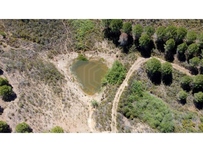 Image No.2-House for sale