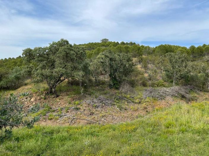 Image No.7-House for sale