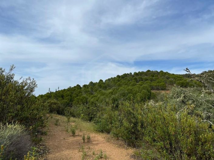 Image No.9-House for sale