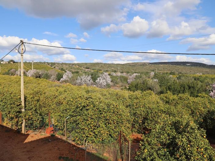 Image No.25-House for sale