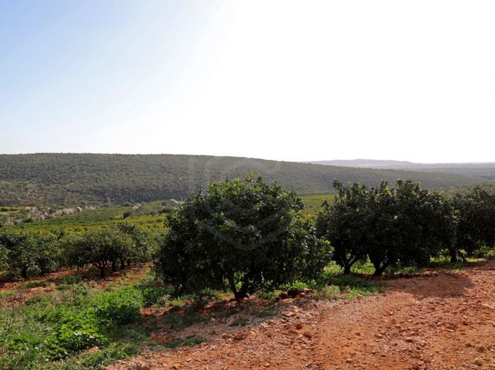 Image No.29-House for sale