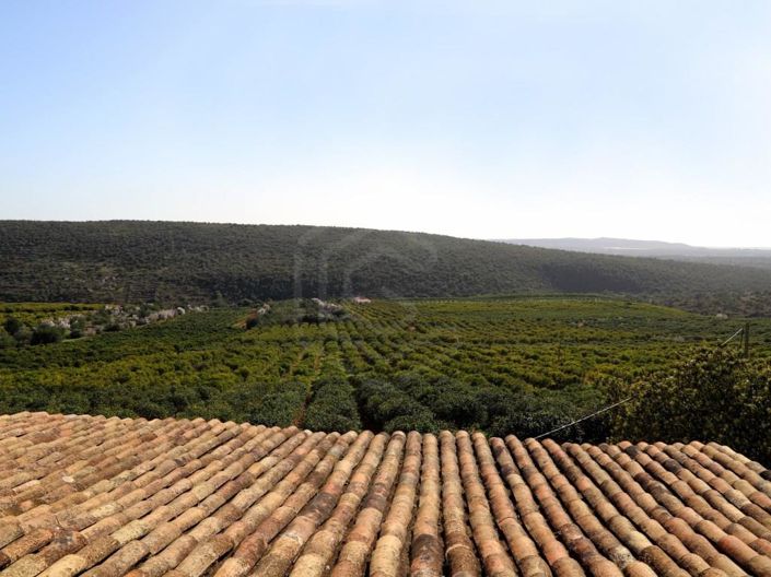 Image No.42-House for sale