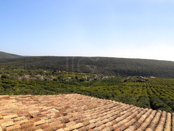 Image No.44-House for sale