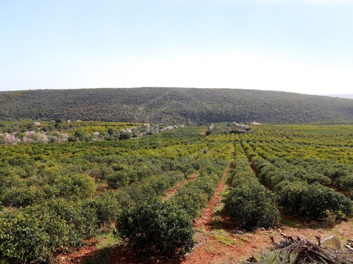 Image No.46-House for sale