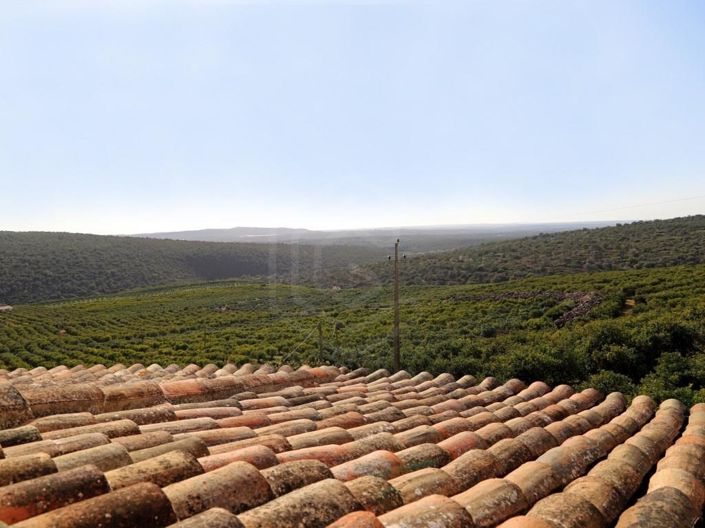 Image No.58-House for sale