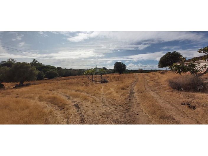 Image No.14-14 Bed House for sale