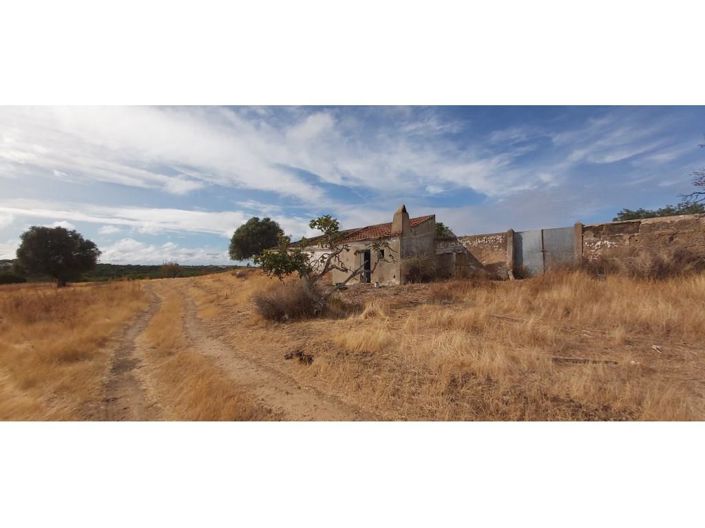 Image No.15-14 Bed House for sale