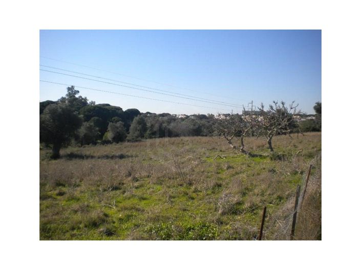 Image No.4-14 Bed House for sale