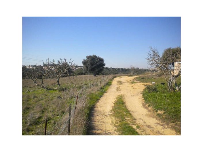 Image No.6-14 Bed House for sale