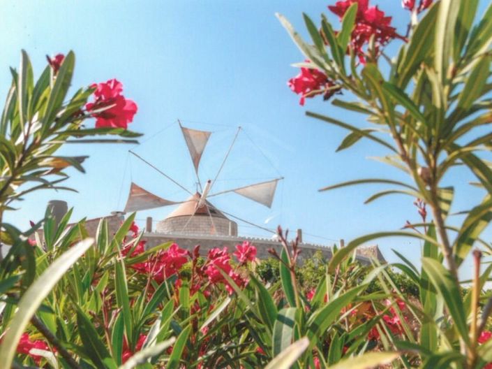 Image No.10-3 Bed House for sale