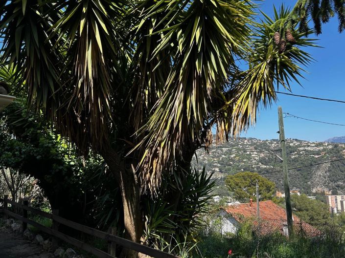 Image No.9-Maison à vendre à Nice