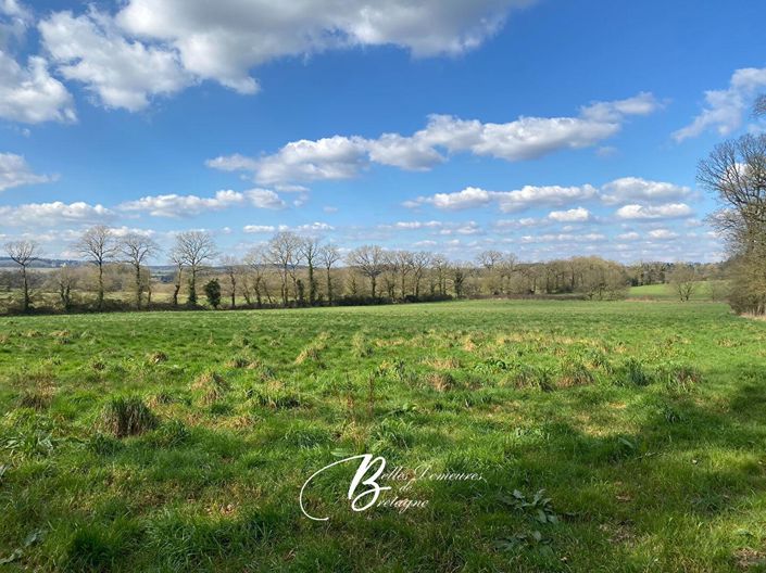 Image No.4-11 Bed House for sale