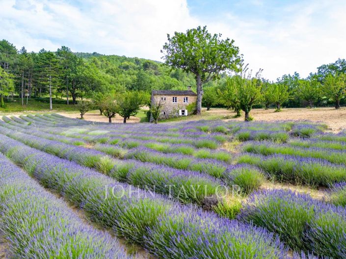 Image No.11-Maison de 16 chambres à vendre à Saignon
