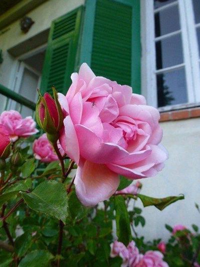 Image No.33-Maison à vendre à Coursegoules