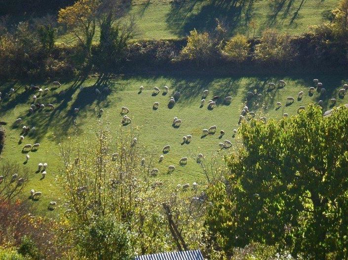Image No.66-Maison à vendre à Coursegoules