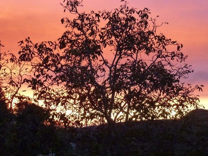 Image No.70-Maison à vendre à Coursegoules