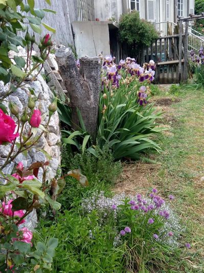 Image No.84-Maison à vendre à Coursegoules