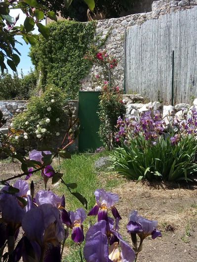 Image No.85-Maison à vendre à Coursegoules