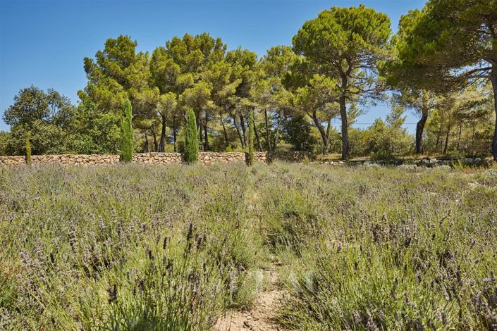 Image No.13-6 Bed House for sale