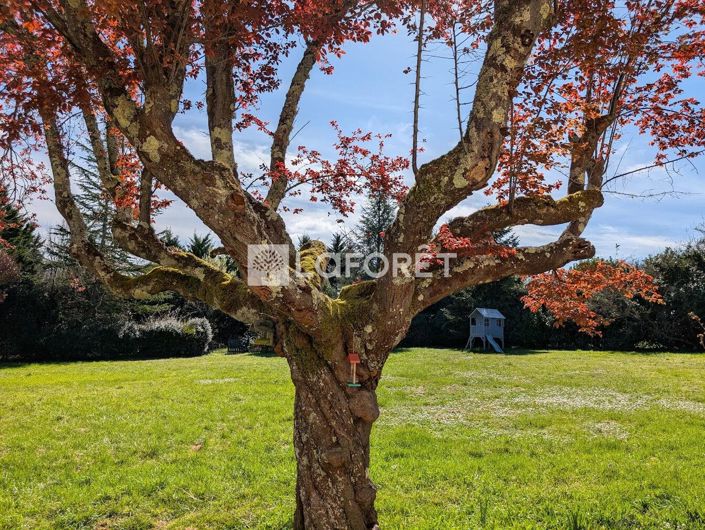 Image No.17-5 Bed House for sale