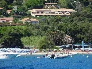 1 - Le Lavandou, House