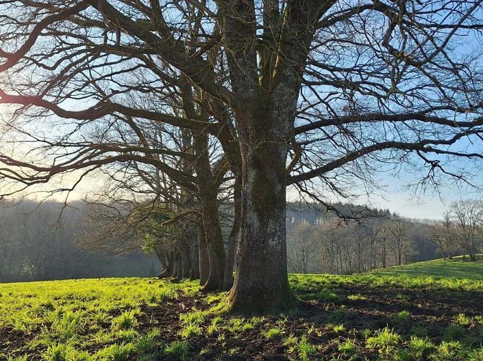 Image No.5-4 Bed House for sale