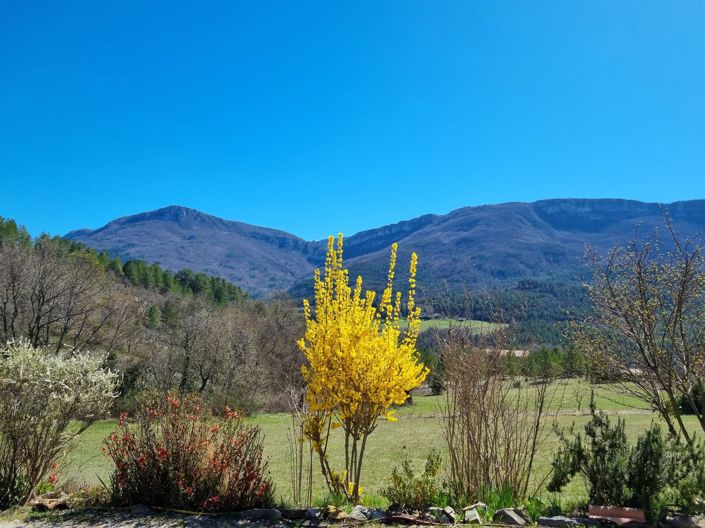 Image No.5-3 Bed House for sale