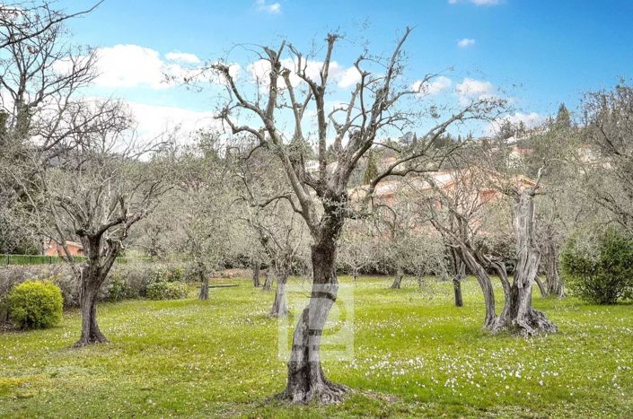 Image No.5-6 Bed House for sale