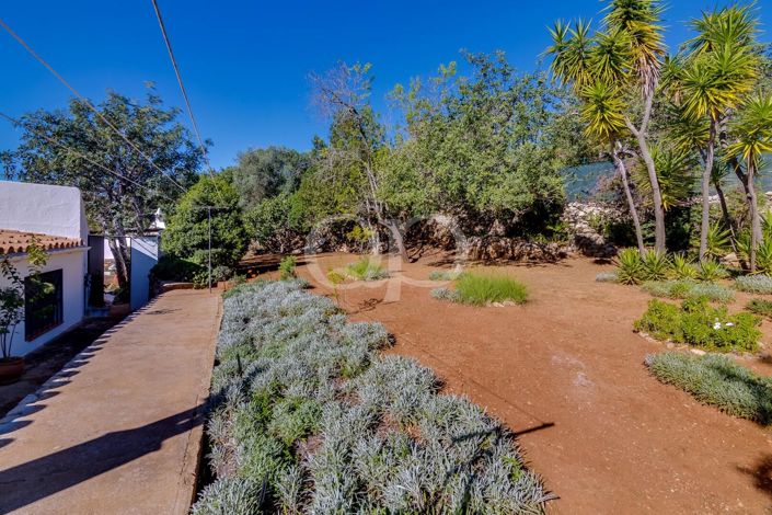 Image No.31-3 Bed House for sale