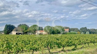 Maison de 5 chambres à vendre à Richerenches
