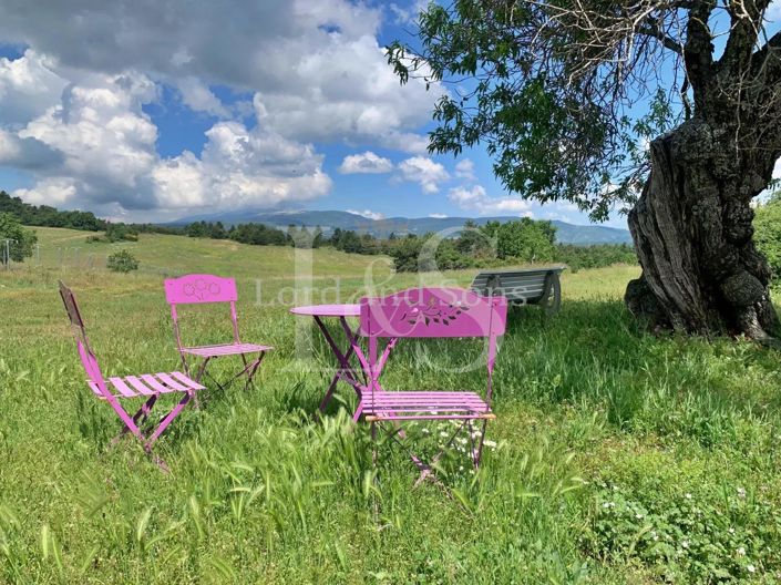 Image No.19-7 Bed House for sale