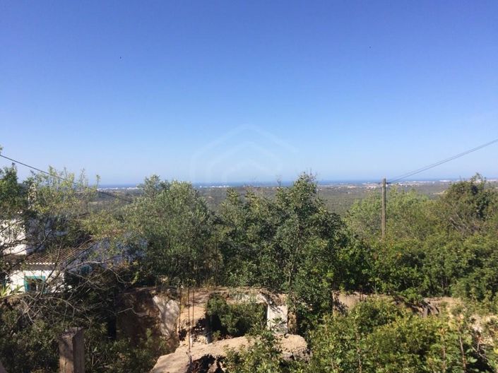 Image No.4-House for sale