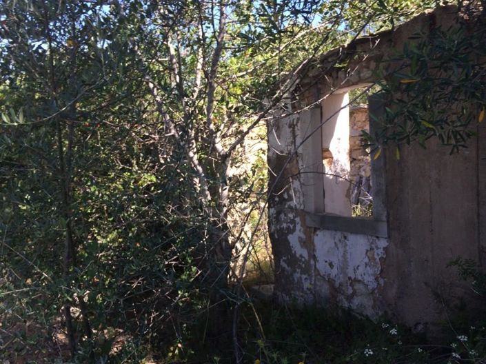 Image No.5-Maison à vendre à Loule