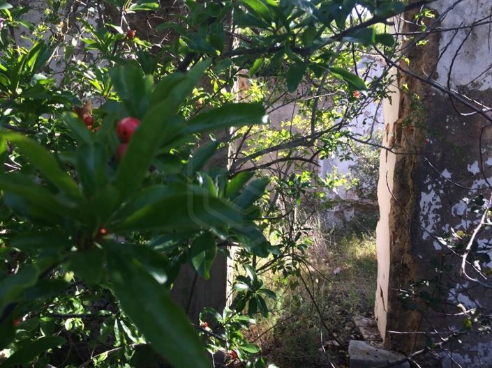 Image No.6-House for sale