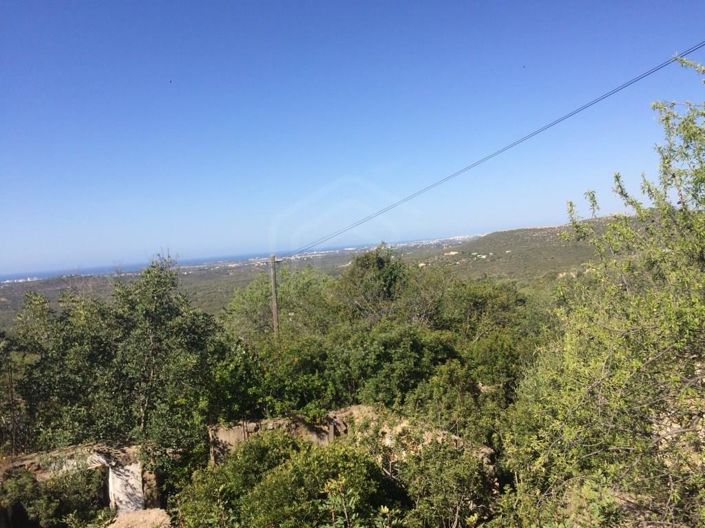 Image No.7-House for sale