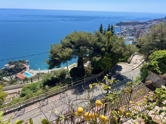 Image No.14-4 Bed House for sale