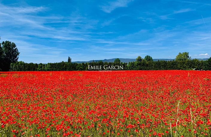 Image No.1-11 Bed House for sale