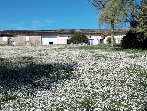 Image No.1-4 Bed House for sale