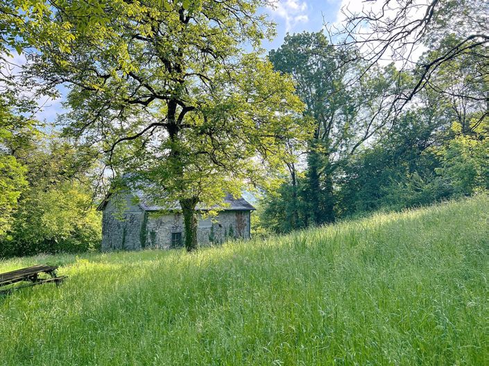 Image No.1-House for sale