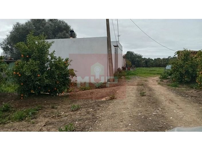 Image No.15-2 Bed House for sale