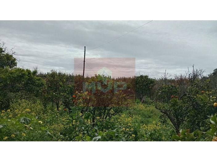 Image No.16-2 Bed House for sale