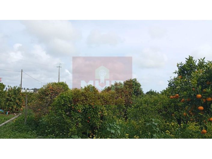 Image No.17-2 Bed House for sale