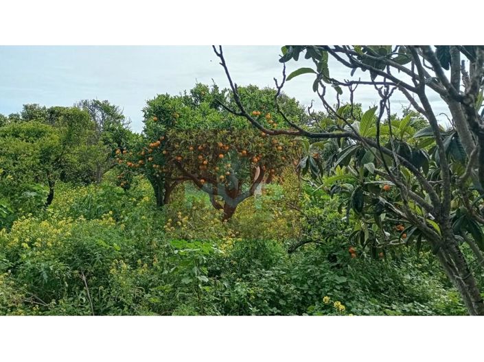 Image No.19-2 Bed House for sale