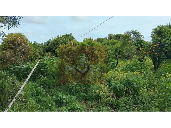 Image No.20-2 Bed House for sale