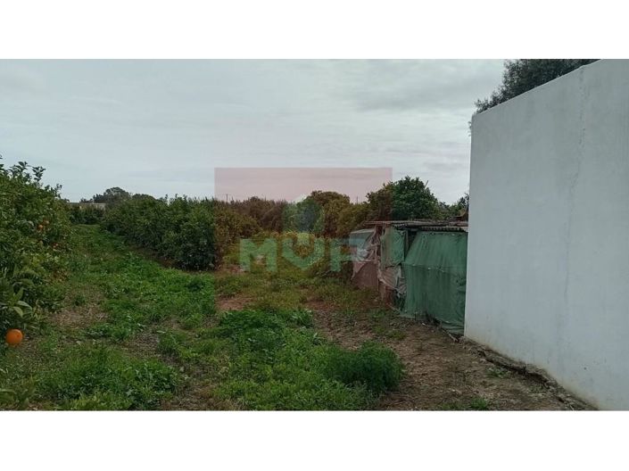 Image No.28-2 Bed House for sale