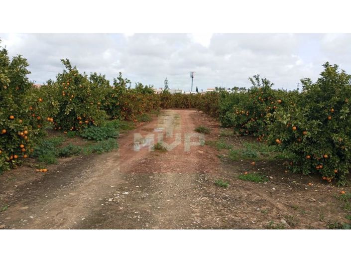 Image No.30-2 Bed House for sale