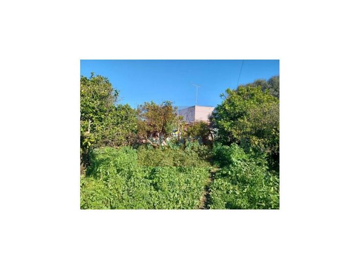 Image No.6-2 Bed House for sale