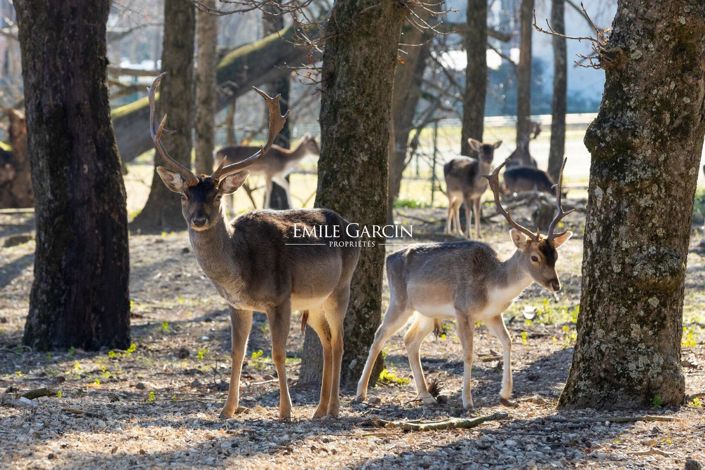 Image No.11-Propriété de 25 chambres à vendre à Suze-la-Rousse